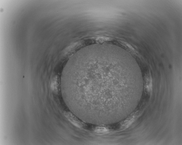 X0000062170519200512121244