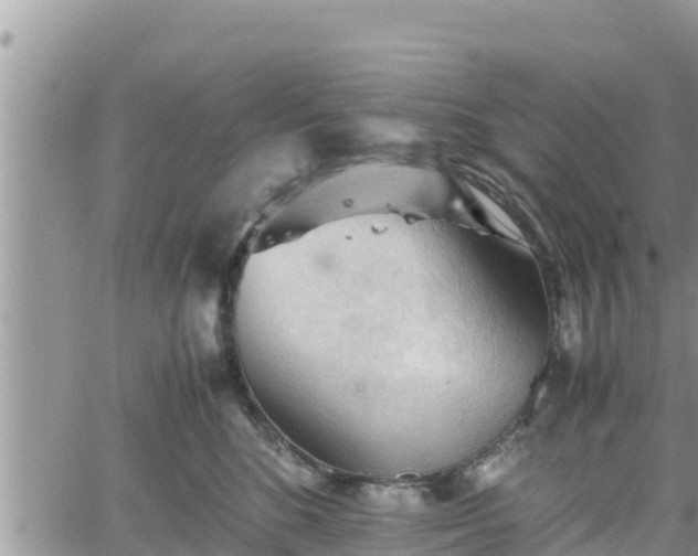 X0000062170520200512121243