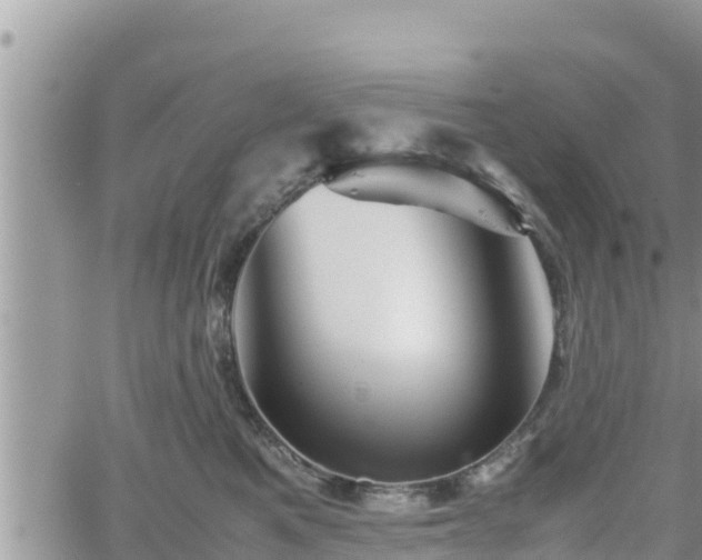 X0000062170521200512121243