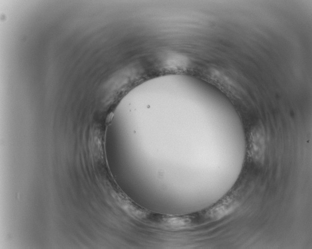 X0000062170522200512121243