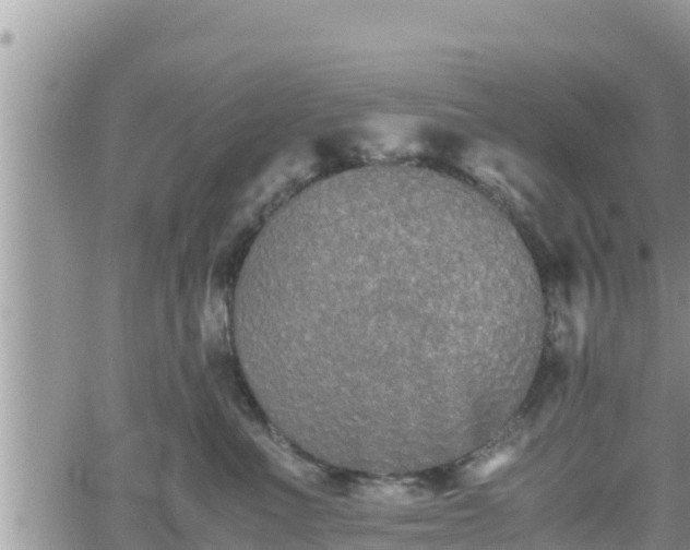 X0000062170523200512121243