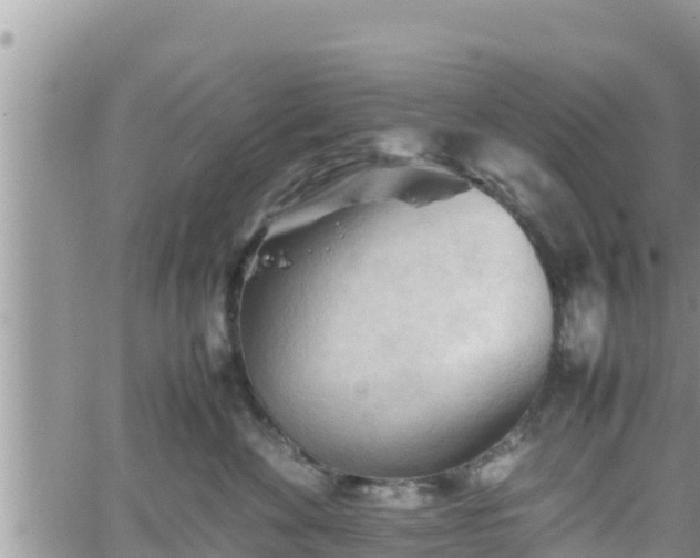 X0000062170524200512121243