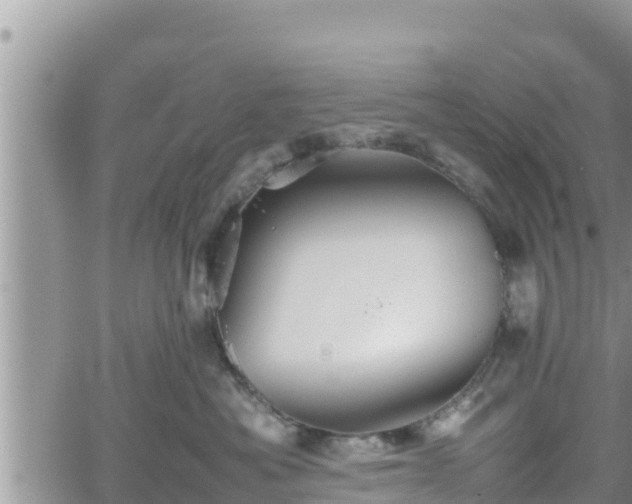 X0000062170525200512121243