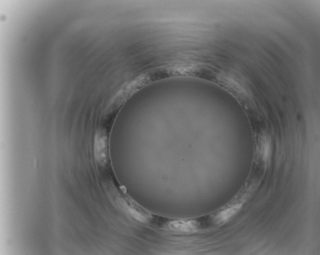 X0000062170526200512121243