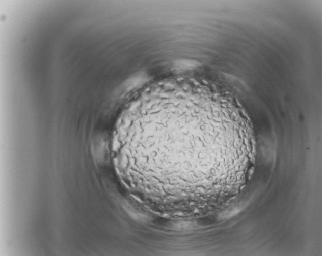 X0000062170527200512121243