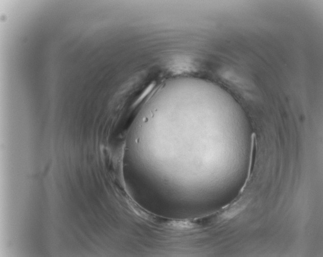 X0000062170528200512121243