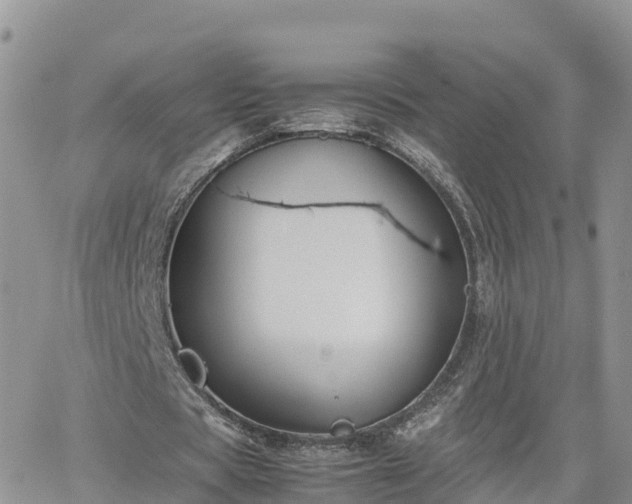 X0000062170529200512121243