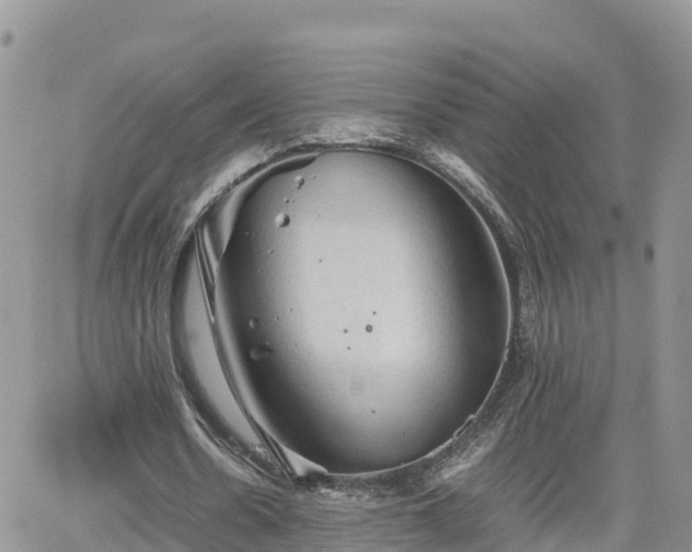 X0000062170530200512121243