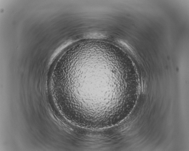 X0000062170531200512121243