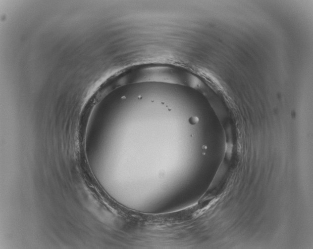 X0000062170532200512121243