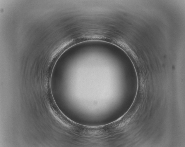 X0000062170533200512121243