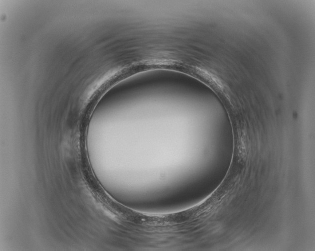 X0000062170535200512121243