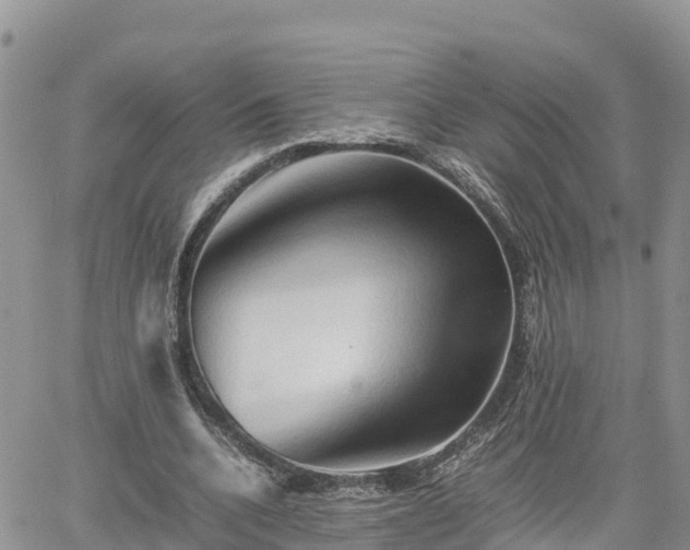 X0000062170536200512121243