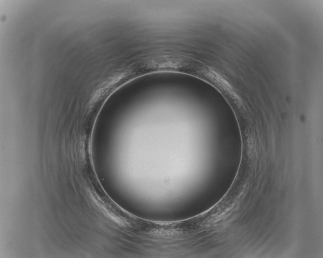 X0000062170537200512121243