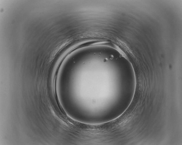 X0000062170538200512121243