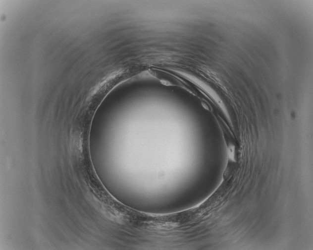 X0000062170539200512121243