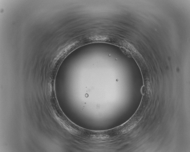 X0000062170541200512121243