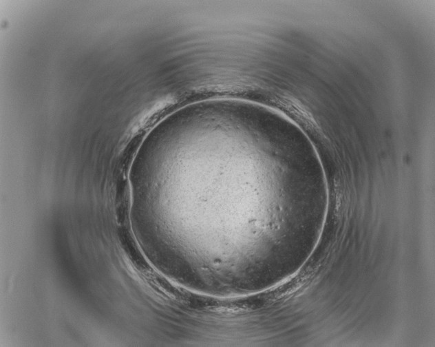 X0000062170542200512121243