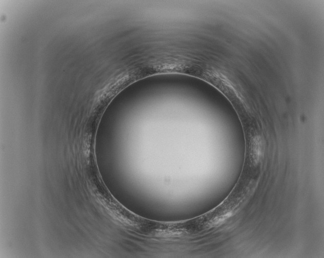 X0000062170545200512121243