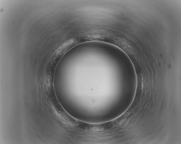 X0000062170546200512121243