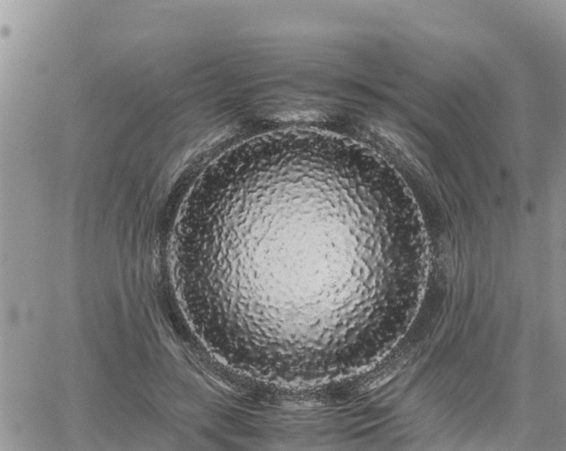 X0000062170547200512121243