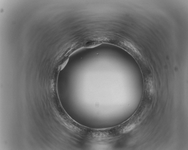 X0000062170549200512121243