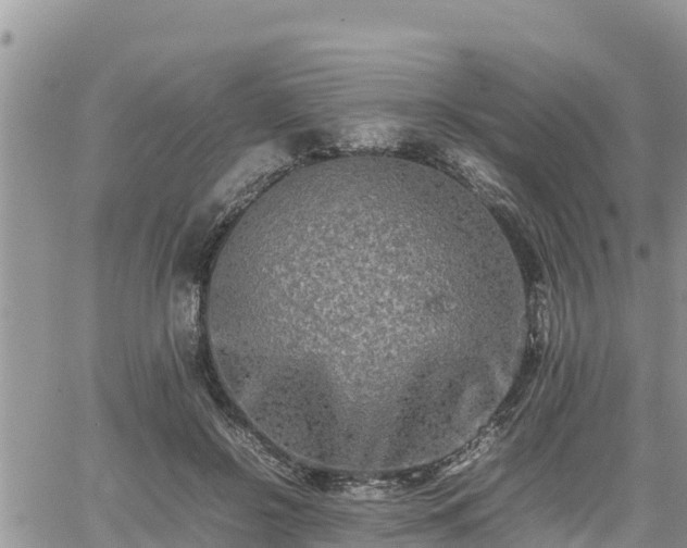 X0000062170550200512121243