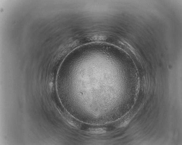 X0000062170553200512121243