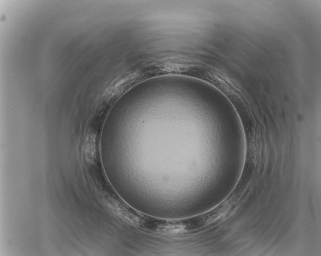 X0000062170554200512121243