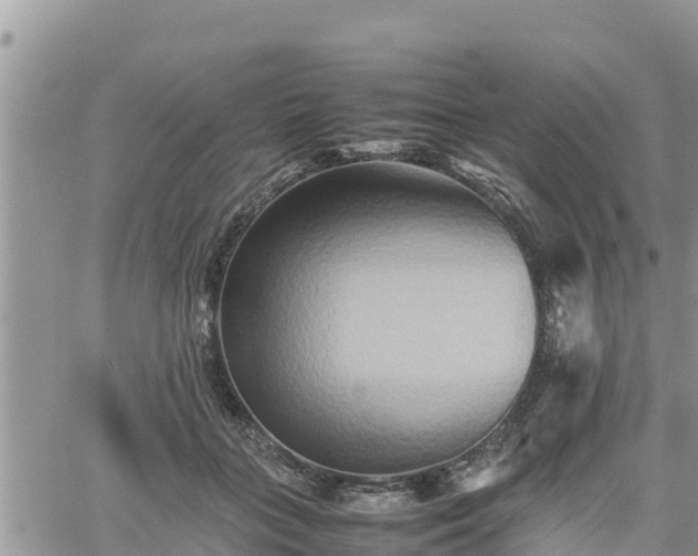 X0000062170555200512121243