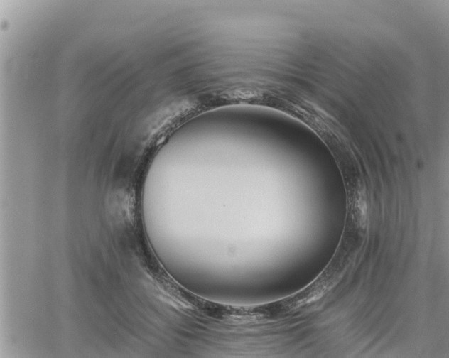 X0000062170556200512121243