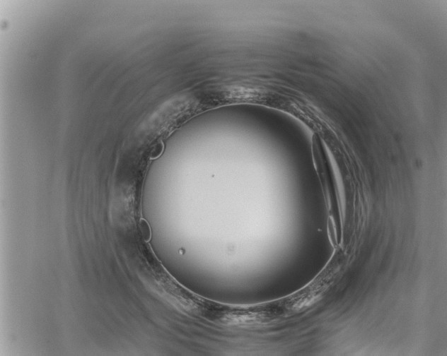 X0000062170557200512121243