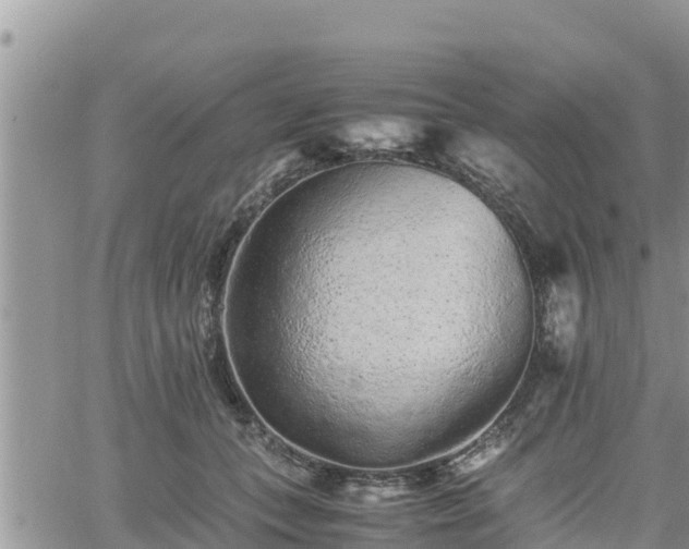 X0000062170559200512121243