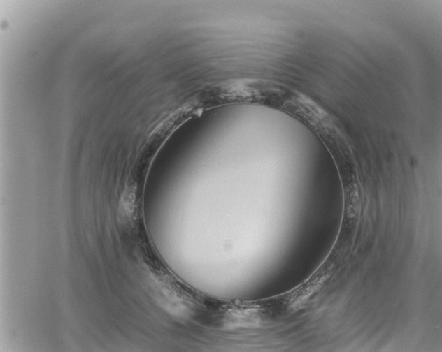 X0000062170560200512121243