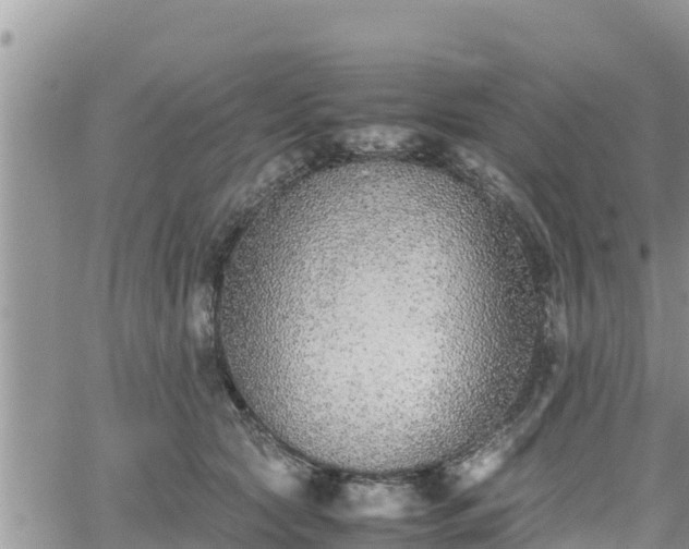 X0000062170561200512121243