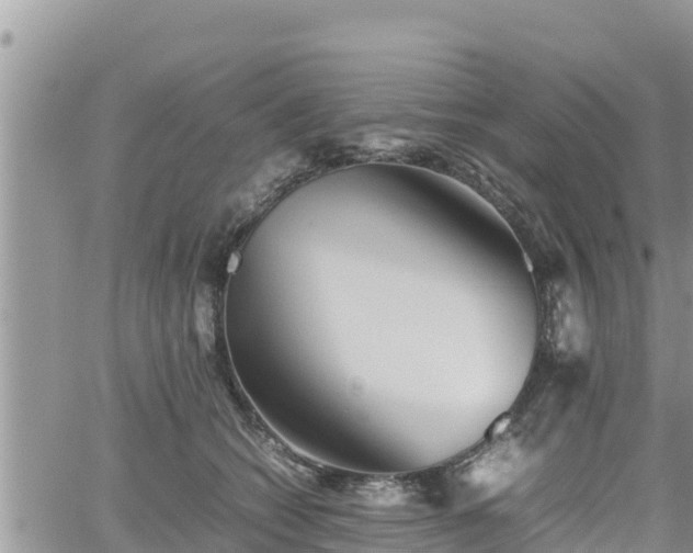 X0000062170562200512121243