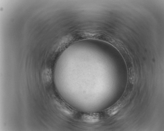 X0000062170563200512121243