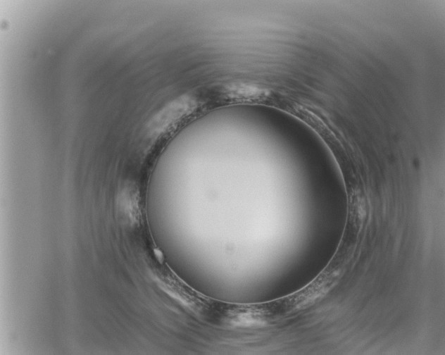 X0000062170564200512121243