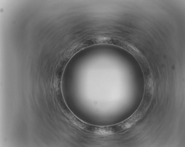 X0000062170565200512121243