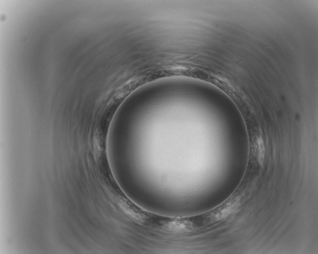 X0000062170566200512121243