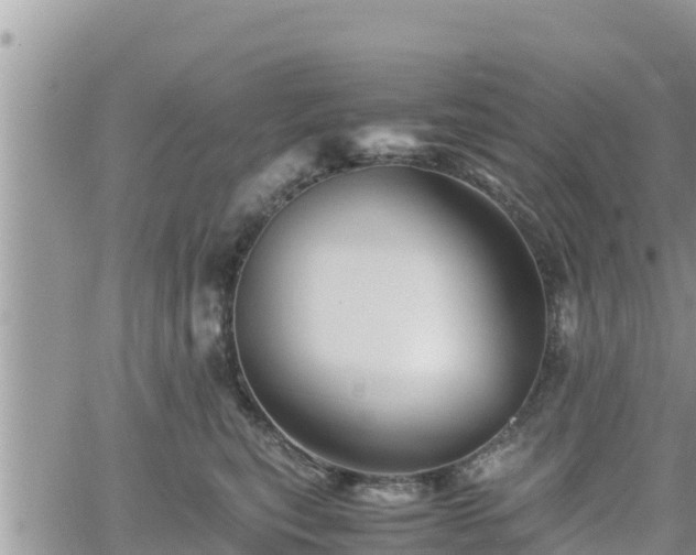 X0000062170567200512121243