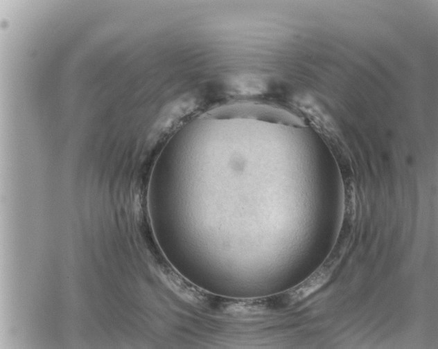 X0000062170568200512121243