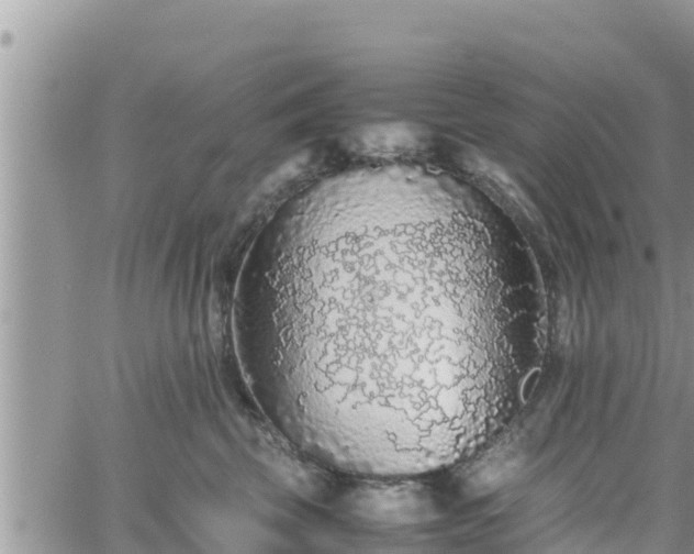 X0000062170569200512121243