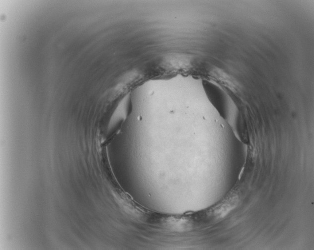 X0000062170570200512121243