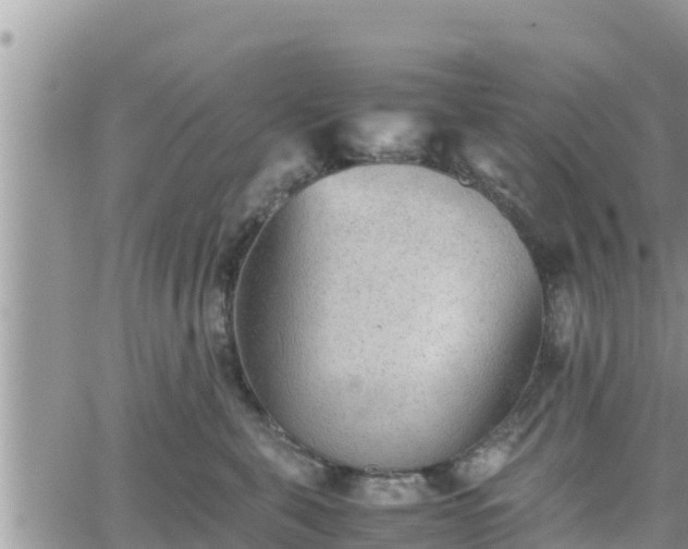 X0000062170571200512121243