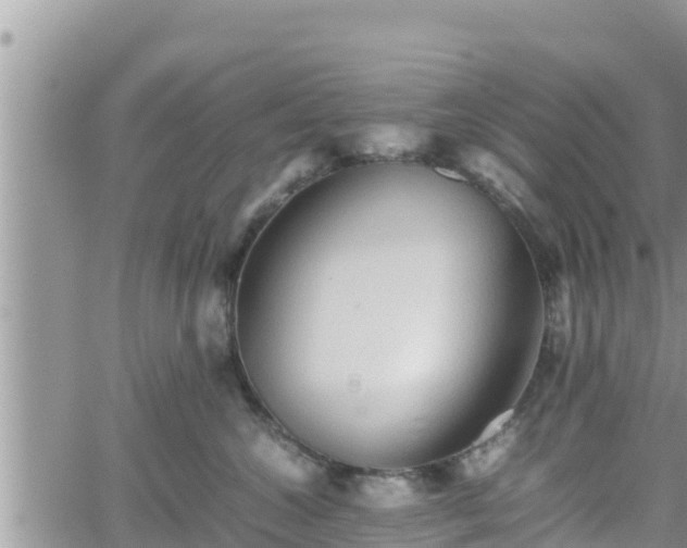 X0000062170572200512121243