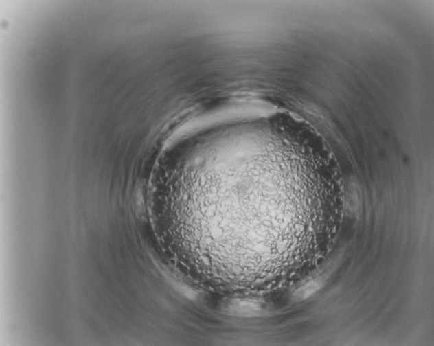 X0000062170573200512121243