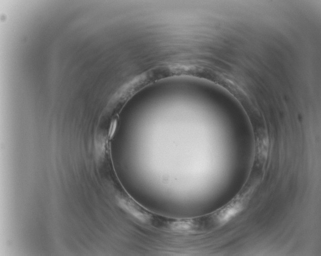 X0000062170574200512121243