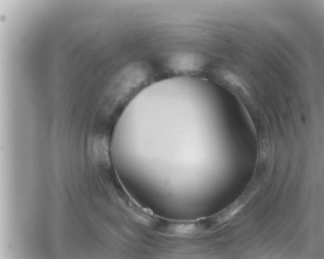 X0000062170575200512121243