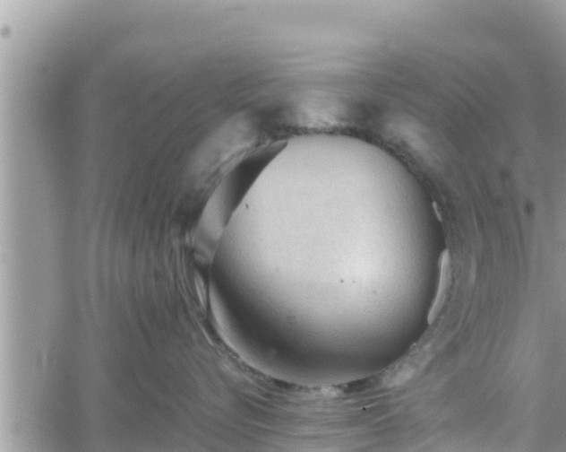 X0000062170576200512121243